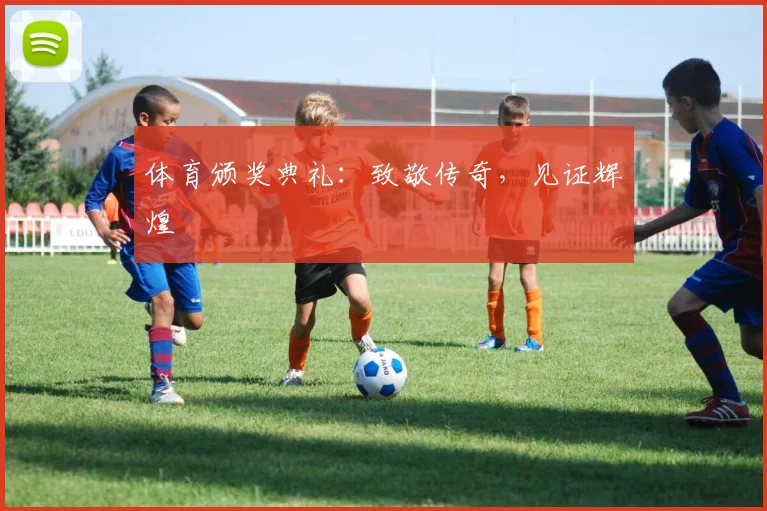 体育颁奖典礼：致敬传奇，见证辉煌