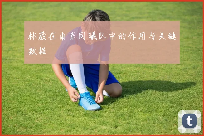 林葳在南京同曦队中的作用与关键数据