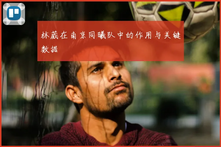 林葳在南京同曦队中的作用与关键数据