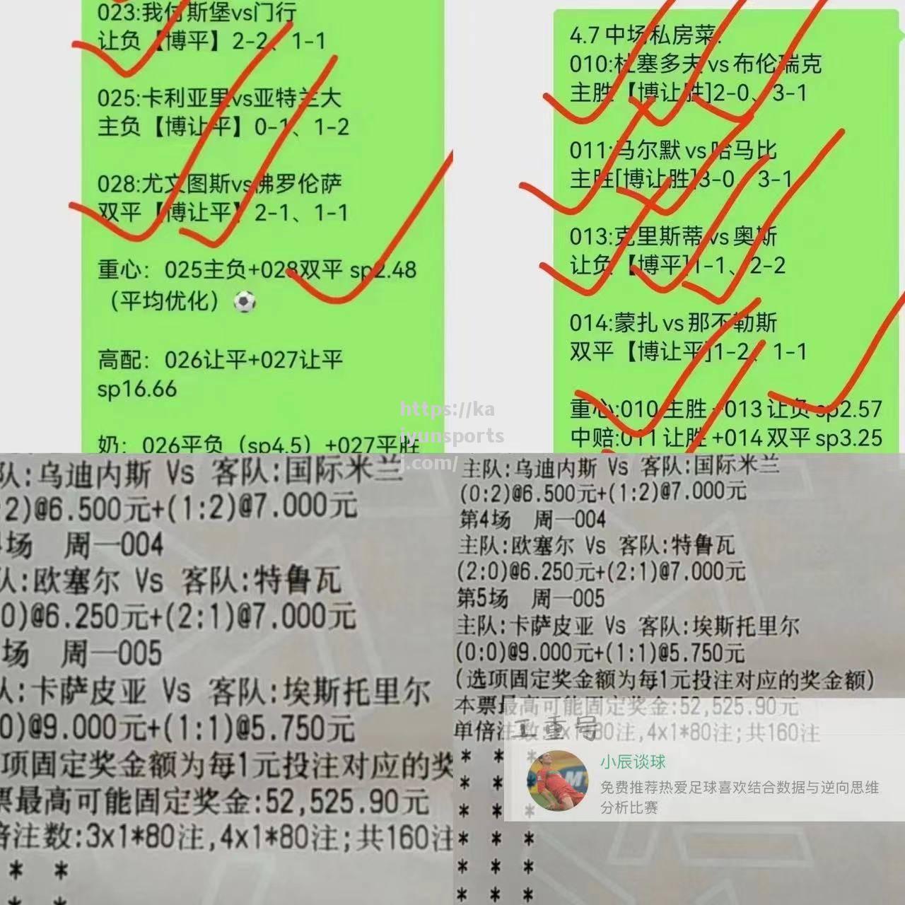 莱切主场告负，保持在积分榜第十二